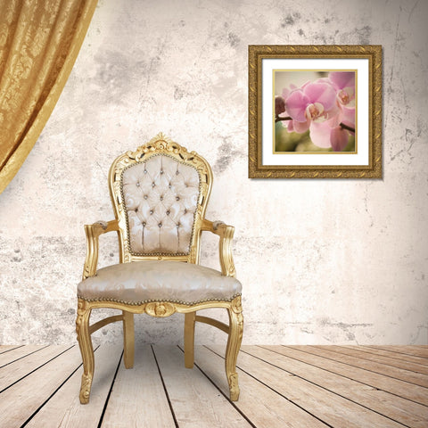 Orchid Affair Gold Ornate Wood Framed Art Print with Double Matting by Sememza, Marlana