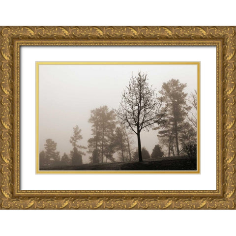 Evening Mist 2 Gold Ornate Wood Framed Art Print with Double Matting by Sememza, Marlana