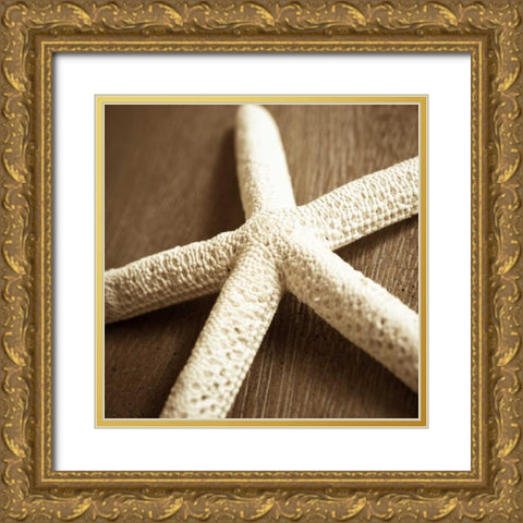 Natural Starfish Gold Ornate Wood Framed Art Print with Double Matting by Semenza, Marlana