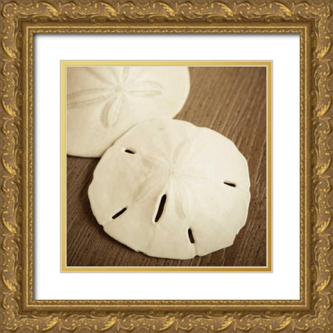 Natural Sand Dollars Gold Ornate Wood Framed Art Print with Double Matting by Semenza, Marlana