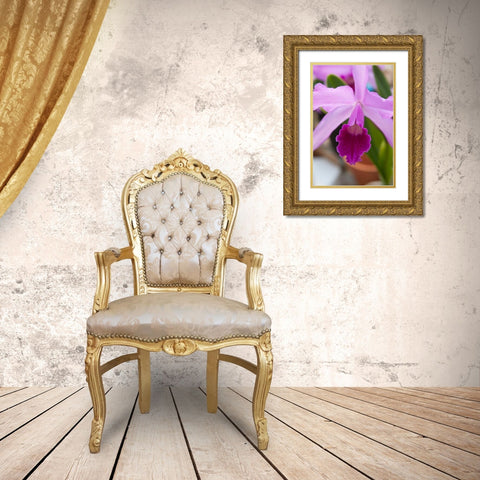 Orchid Close Up Gold Ornate Wood Framed Art Print with Double Matting by Semenza, Marlana