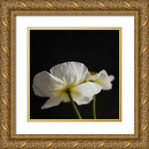 Dramatic Petals 1 Gold Ornate Wood Framed Art Print with Double Matting by Susannah Tucker Photography