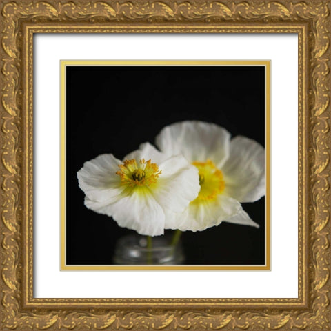 Dramatic Petals 2 Gold Ornate Wood Framed Art Print with Double Matting by Susannah Tucker Photography