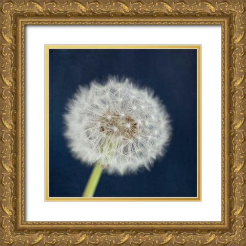 Wish Garden Gold Ornate Wood Framed Art Print with Double Matting by Susannah Tucker Photography