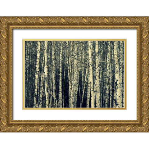 Birch Dream Gold Ornate Wood Framed Art Print with Double Matting by Dickinson, Robin