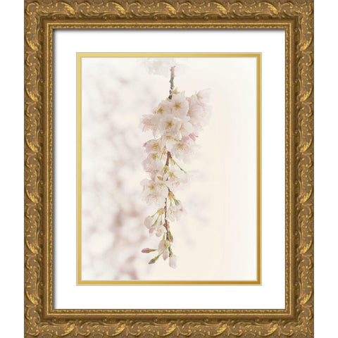 Hanging Blossoms Gold Ornate Wood Framed Art Print with Double Matting by Dickinson, Robin