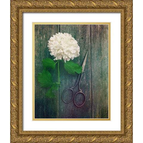 Fresh Cut Gold Ornate Wood Framed Art Print with Double Matting by Dickinson, Robin