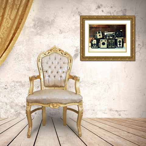 Vintage Camera Collection Gold Ornate Wood Framed Art Print with Double Matting by Dickinson, Robin