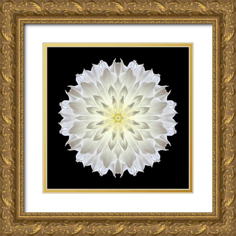 Kaleidoscope Dahlia Black Gold Ornate Wood Framed Art Print with Double Matting by Bookbinder, David