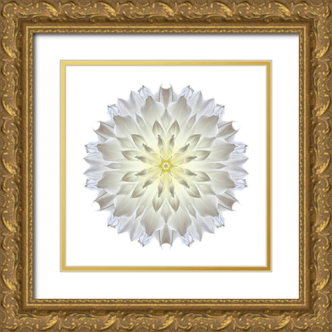 Kaleidoscope Dahlia Gold Ornate Wood Framed Art Print with Double Matting by Bookbinder, David