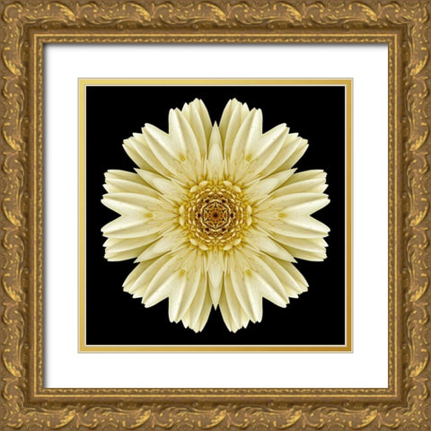 Kaleidoscope Daisy Black Gold Ornate Wood Framed Art Print with Double Matting by Bookbinder, David