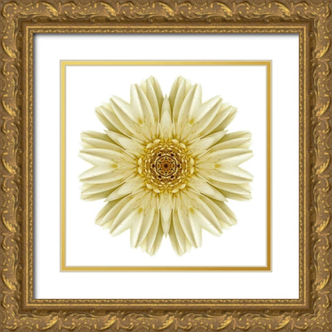 Kaleidoscope Daisy Gold Ornate Wood Framed Art Print with Double Matting by Bookbinder, David