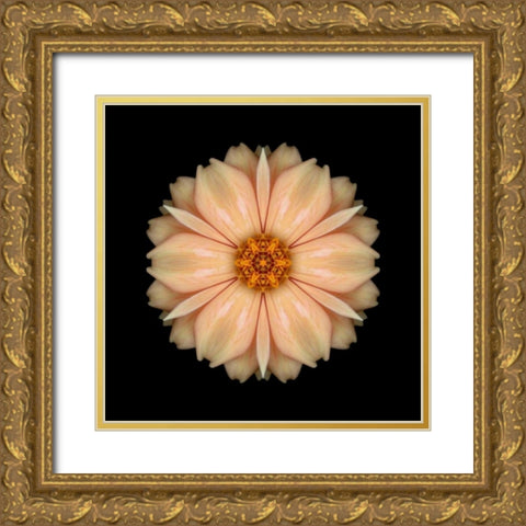 Kaleidoscope Peach Dahlia Gold Ornate Wood Framed Art Print with Double Matting by Bookbinder, David
