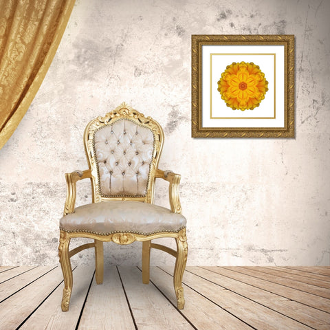 Kaleidoscope Marigold Gold Ornate Wood Framed Art Print with Double Matting by Bookbinder, David