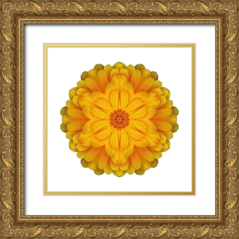 Kaleidoscope Marigold Gold Ornate Wood Framed Art Print with Double Matting by Bookbinder, David