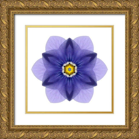 Kaleidoscope Blue Bell Gold Ornate Wood Framed Art Print with Double Matting by Bookbinder, David