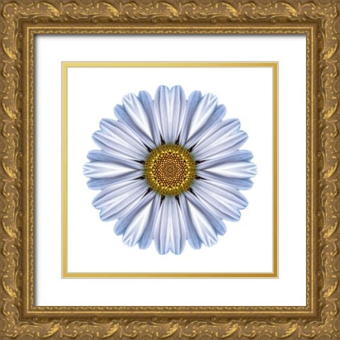 Kaleidoscope White Daisy Gold Ornate Wood Framed Art Print with Double Matting by Bookbinder, David