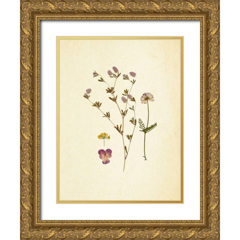 French Herbarium 2 Gold Ornate Wood Framed Art Print with Double Matting by Ross, Devon