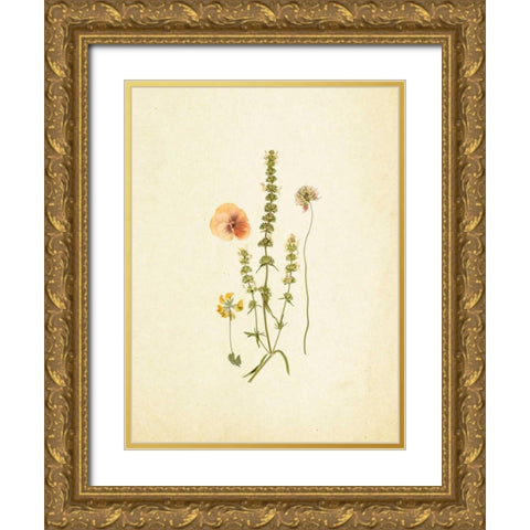 French Herbarium 4 Gold Ornate Wood Framed Art Print with Double Matting by Ross, Devon