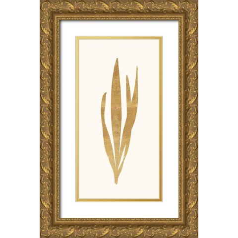 Gold Botanical 1 Gold Ornate Wood Framed Art Print with Double Matting by Ross, Devon