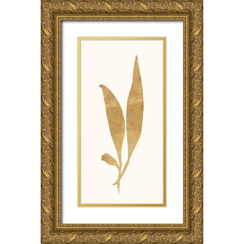 Gold Botanical 5 Gold Ornate Wood Framed Art Print with Double Matting by Ross, Devon
