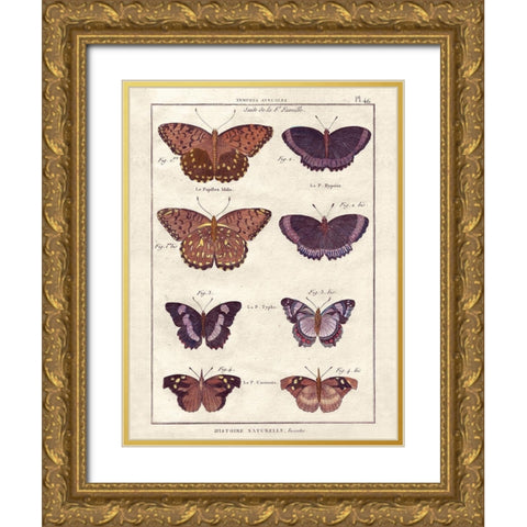 Histoire Naturelle 1 Gold Ornate Wood Framed Art Print with Double Matting by Wesley, Terrence