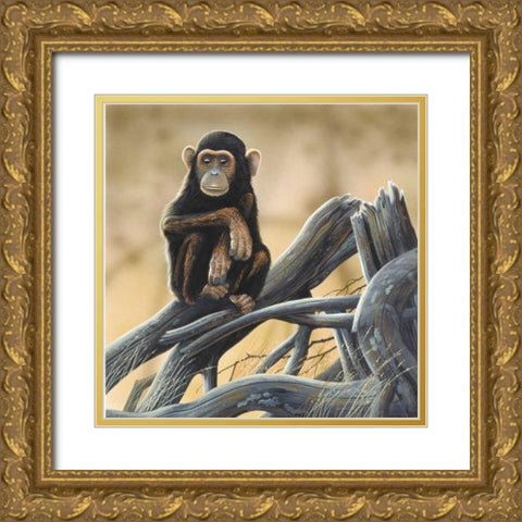 Chimpansee Gold Ornate Wood Framed Art Print with Double Matting by Weenink, Jan