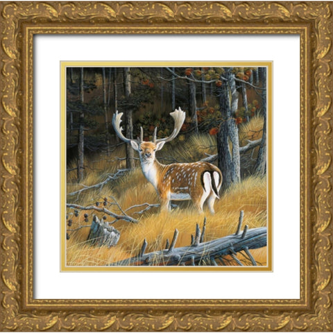 Beautiful deer Gold Ornate Wood Framed Art Print with Double Matting by Weenink, Jan