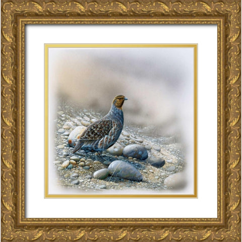 Bird between stones Gold Ornate Wood Framed Art Print with Double Matting by Weenink, Jan