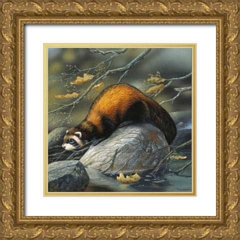 Beaver on a rock Gold Ornate Wood Framed Art Print with Double Matting by Weenink, Jan