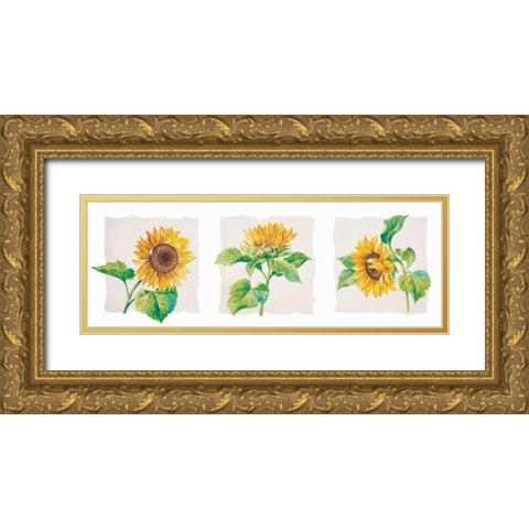 Sunflower triptych Gold Ornate Wood Framed Art Print with Double Matting by Kumorek, Krysztov