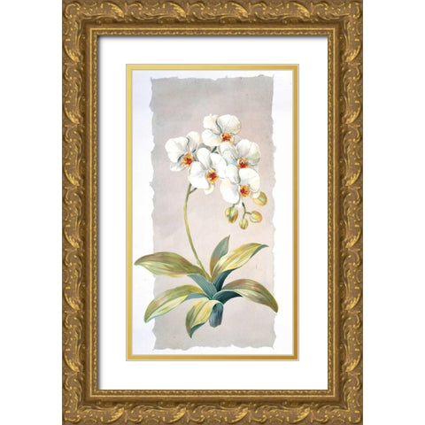 Orchid Gold Ornate Wood Framed Art Print with Double Matting by Kumorek, Krysztov