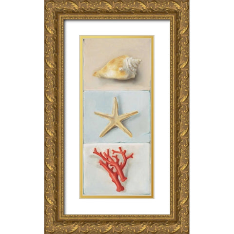 Shell selection II Gold Ornate Wood Framed Art Print with Double Matting by du Ciel, Milieu