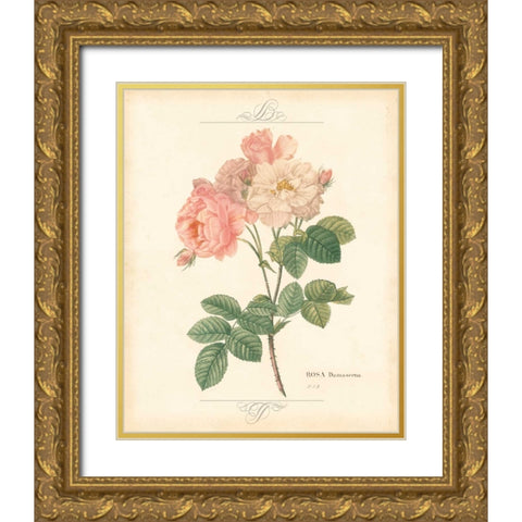 DETAILED FLORAL II Gold Ornate Wood Framed Art Print with Double Matting by Artique Studio