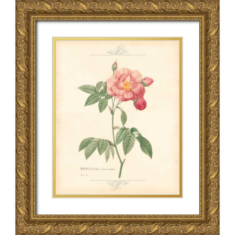 DETAILED FLORAL III Gold Ornate Wood Framed Art Print with Double Matting by Artique Studio