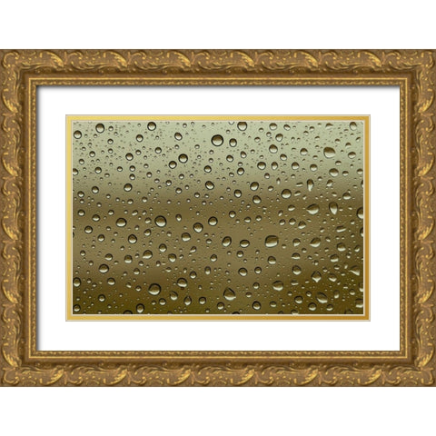 Water droplets on glass Gold Ornate Wood Framed Art Print with Double Matting by Frank, Assaf