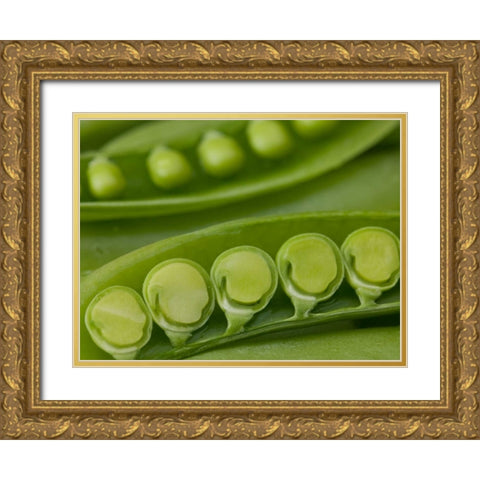 sugar snap peas pods close up Gold Ornate Wood Framed Art Print with Double Matting by Frank, Assaf