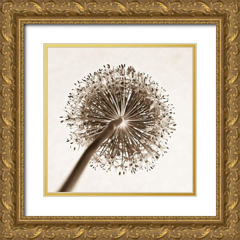 Allium flower, close-up Gold Ornate Wood Framed Art Print with Double Matting by Frank, Assaf