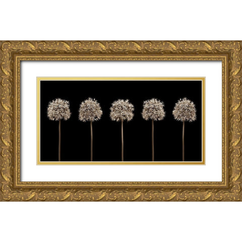 Three puple allium flowers in a row-close-up Gold Ornate Wood Framed Art Print with Double Matting by Frank, Assaf