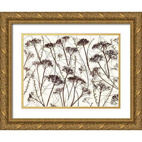 Dried Hydrangea Gold Ornate Wood Framed Art Print with Double Matting by Frank, Assaf