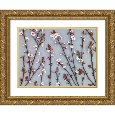 Twigs of Cherry plant Gold Ornate Wood Framed Art Print with Double Matting by Frank, Assaf