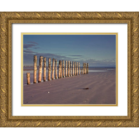 Groynes at ast head beach, West Susex coast Gold Ornate Wood Framed Art Print with Double Matting by Frank, Assaf