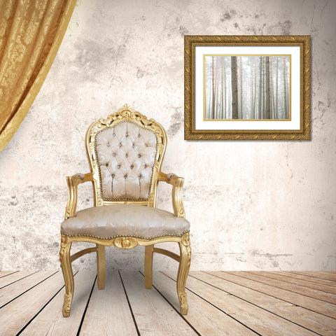 Tree trunks in frorest Gold Ornate Wood Framed Art Print with Double Matting by Frank, Assaf