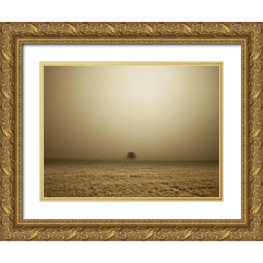 Perspective Image