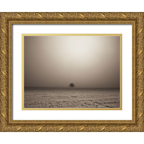 Single Tree in mist and fog Gold Ornate Wood Framed Art Print with Double Matting by Frank, Assaf