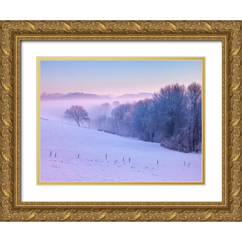 Winter landsacpe in Switzerland Gold Ornate Wood Framed Art Print with Double Matting by Frank, Assaf