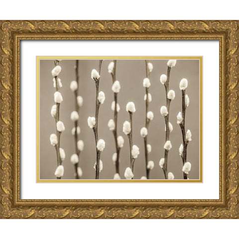Pussy Willow twigs Gold Ornate Wood Framed Art Print with Double Matting by Frank, Assaf