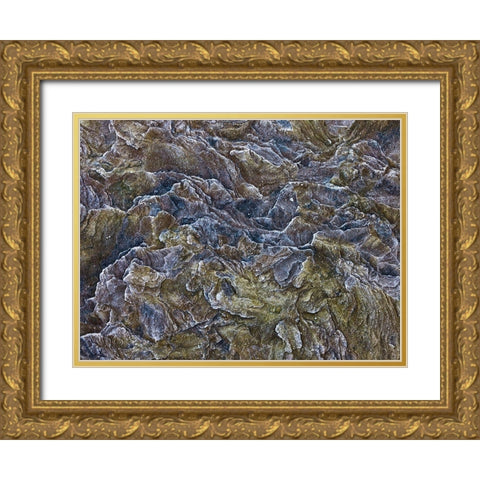 Frosty rock surface Gold Ornate Wood Framed Art Print with Double Matting by Frank, Assaf