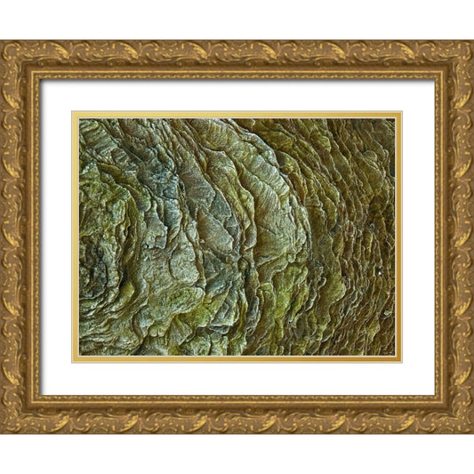 Perspective Image