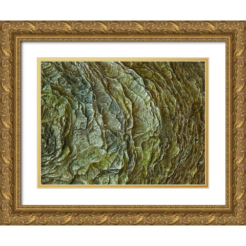 Frosty rock surface Gold Ornate Wood Framed Art Print with Double Matting by Frank, Assaf